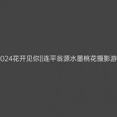 2024花开见你||连平翁源水墨桃花摄影游